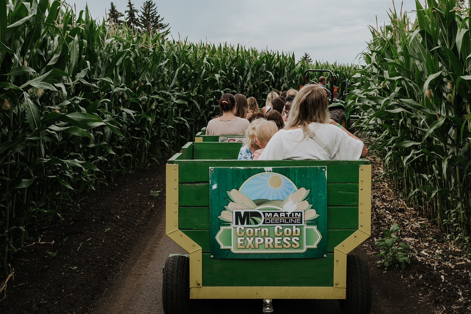 More Edmonton's original corn maze