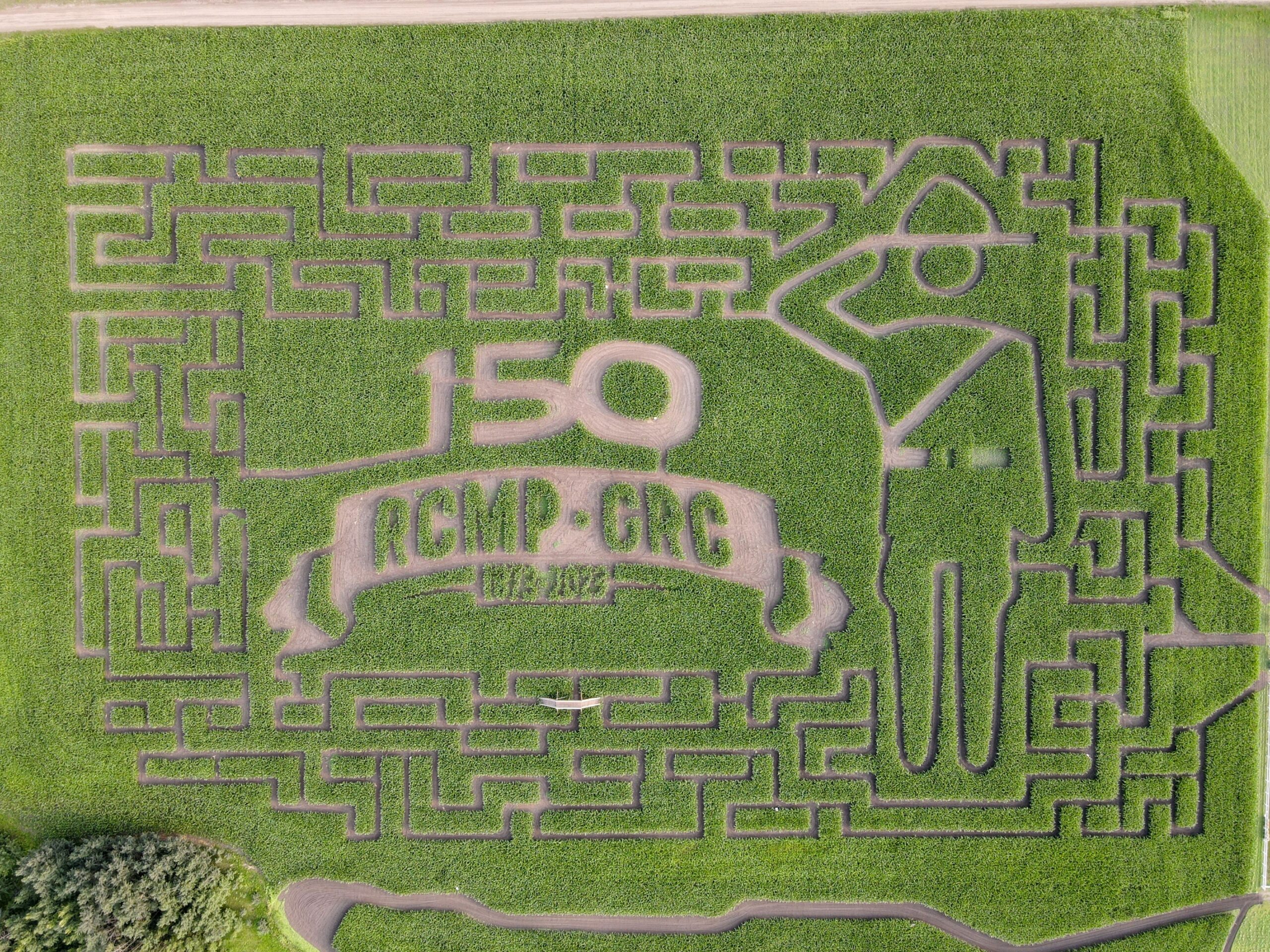 The Edmonton Corn Maze is now open and it has a new design (PHOTOS