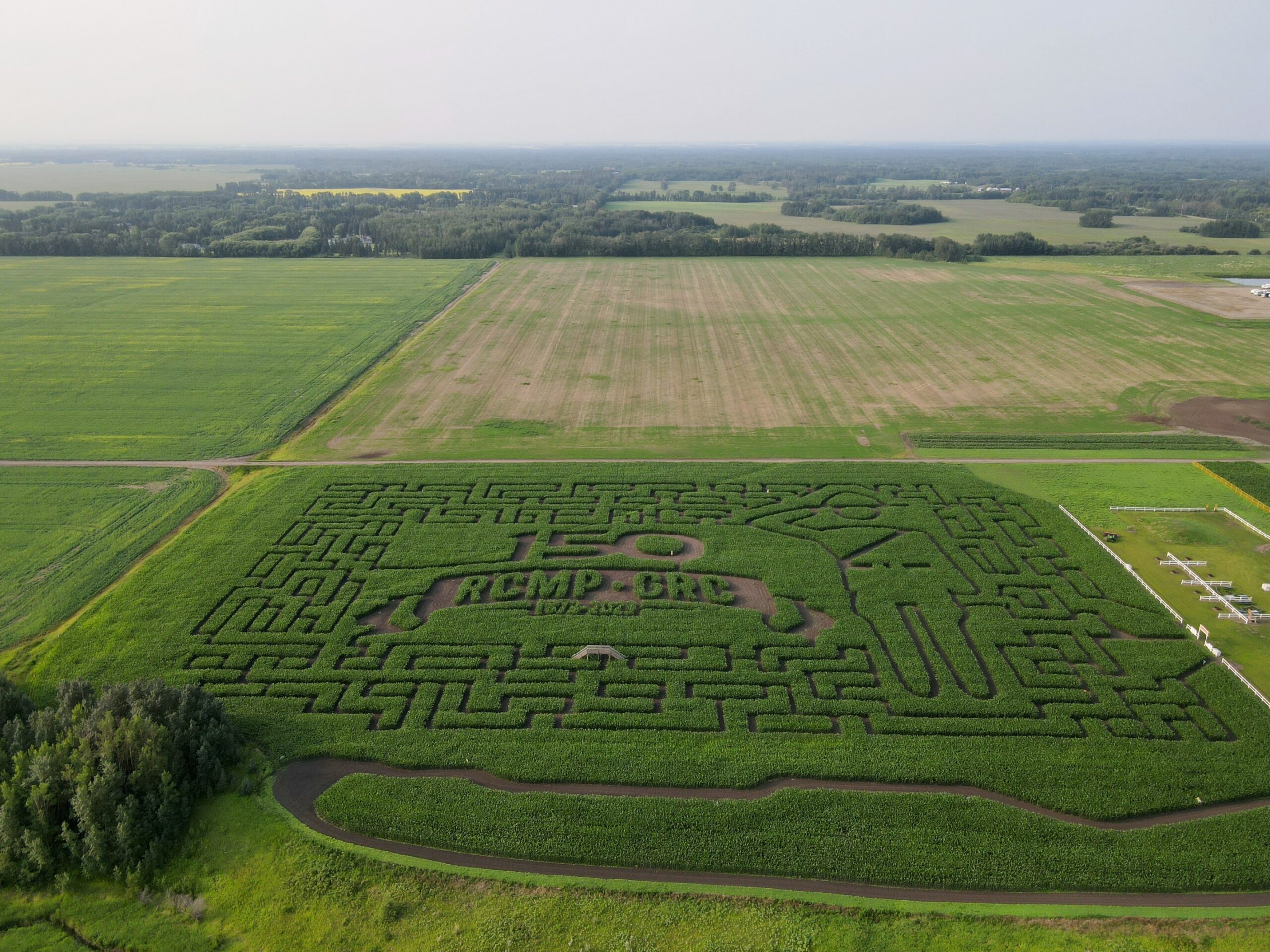 Maze Edmonton s Original Corn Maze Maze Edmonton s Original Corn Maze